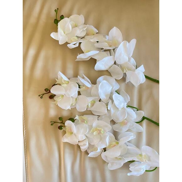Lot of 3 White  Phalaenopsis Orchid Stems 38” Long - Picture 1 of 7
